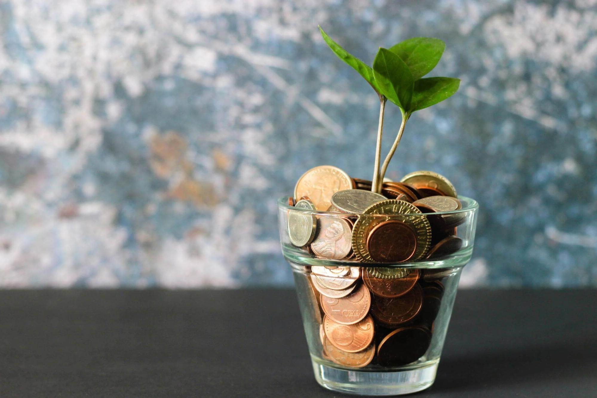 tips to save money when building a house pot plant